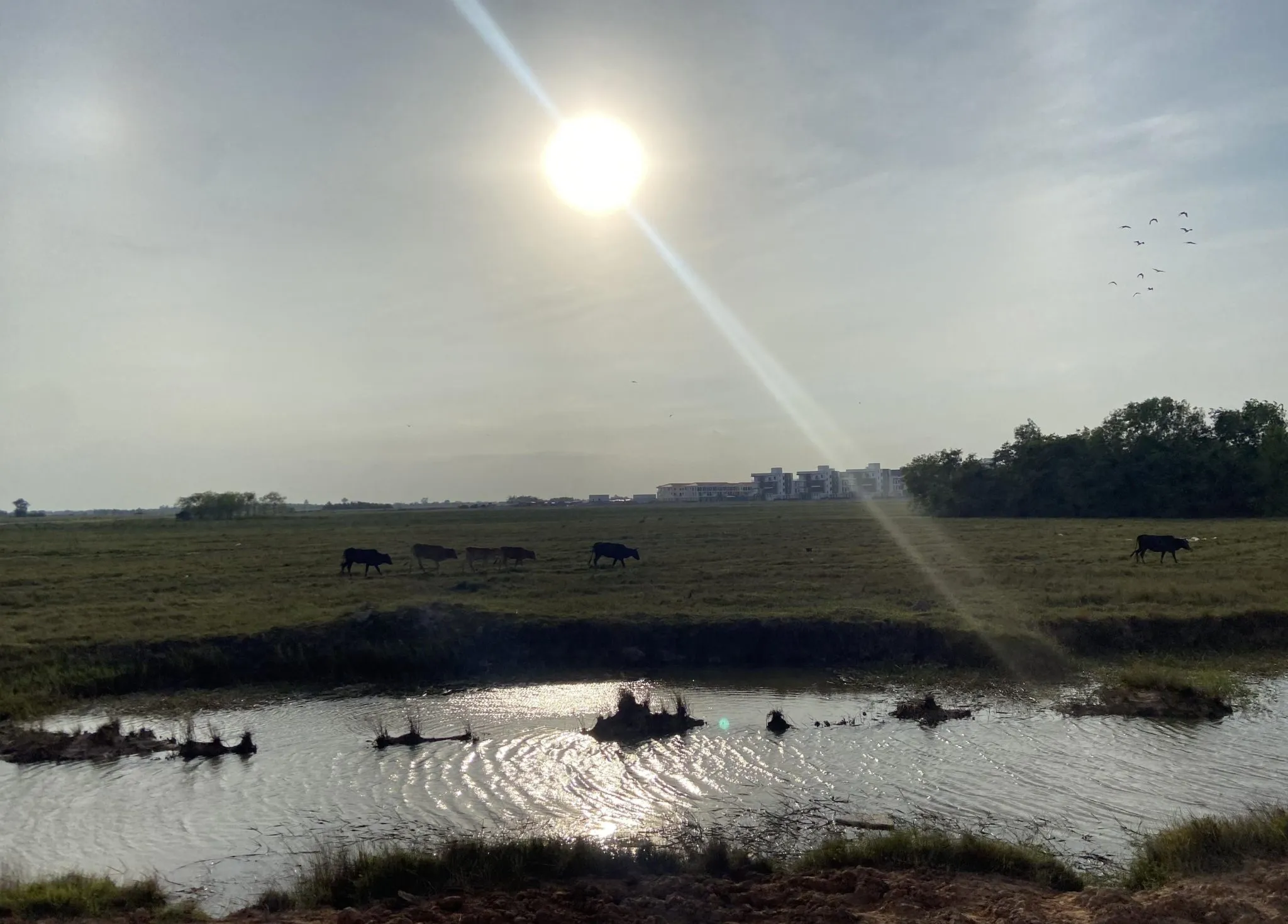 Scam Slavery in the Death Agony of Capitalism 15 A scam compound is seen shaping the horizon of rural Cambodia. (Source: Blue Dragon)