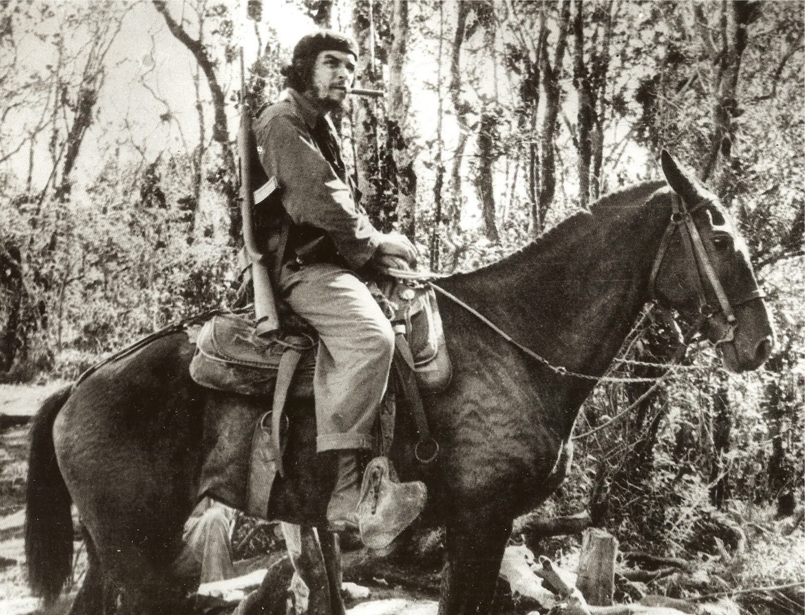 Che Guevara: Legasi Revolusi dan Pengajaran Perjuangannya 1 Che Guevara menunggang baghal di Las Villas, Cuba, 1958.